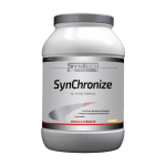 SynTech SynChronize