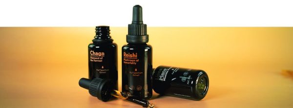 Mushinto Reishi en Chaga