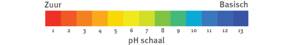 alka creme basische schaal