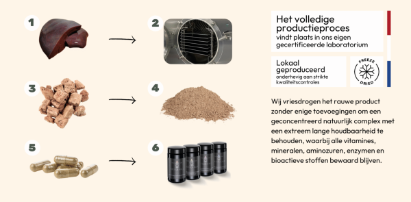informatiebanner over het productieproces van gevriesdroogde organen afkomstig van runderen